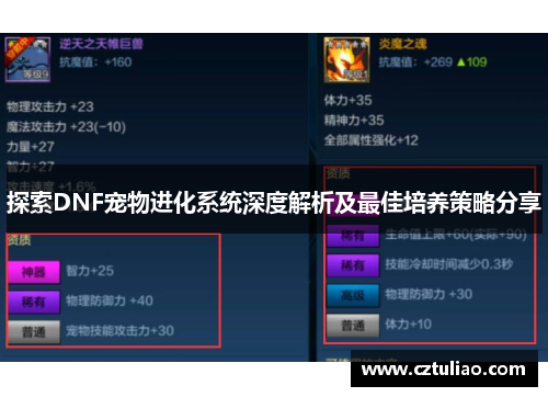 探索DNF宠物进化系统深度解析及最佳培养策略分享